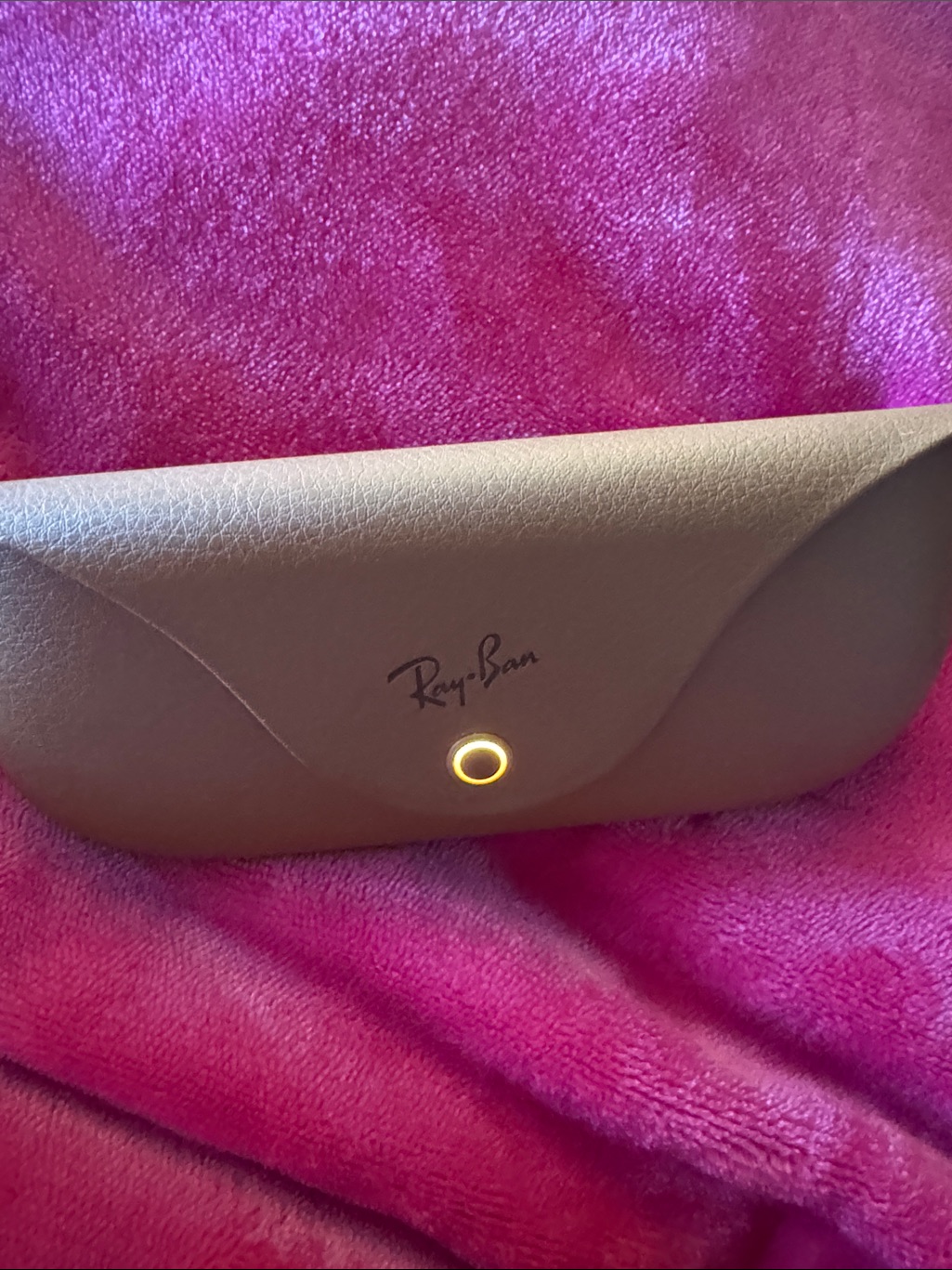 Ray-Ban Brown Eyewear Case With Snap Closure